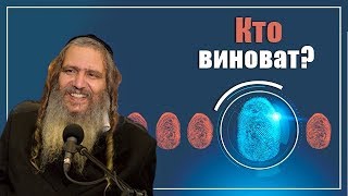 Кто виноват?| Рав Шалом Аруш