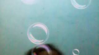 Você. Vicala. Dacano. Aivei. E. Cai