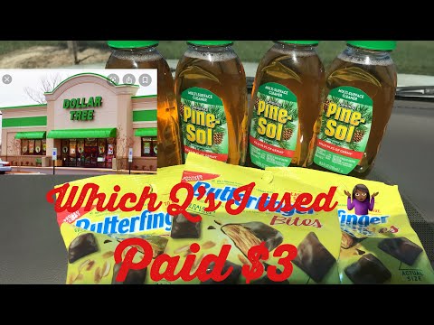 Dollar Tree 🌳 Haul/Which Coupons Worked!! Wink