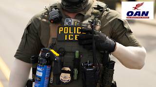 Immigration Attorney Accused of Fake Asylum Hearings as Trump Targets Fraud