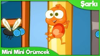 Mini Mini Örümcek Itsy Bitsy Spider Türkçe Çocuk Şarkısı