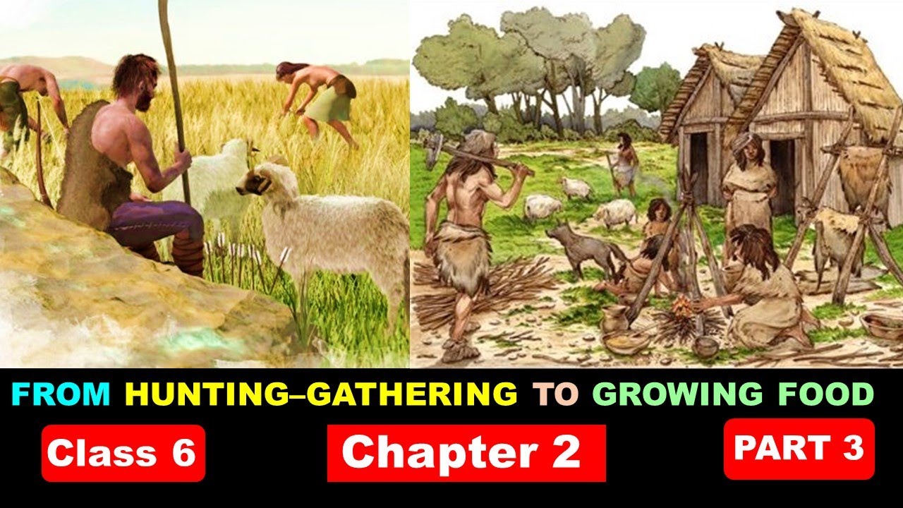 (PART3) Class 6 Chapter 2 From Hunting Gathering To Growing Food