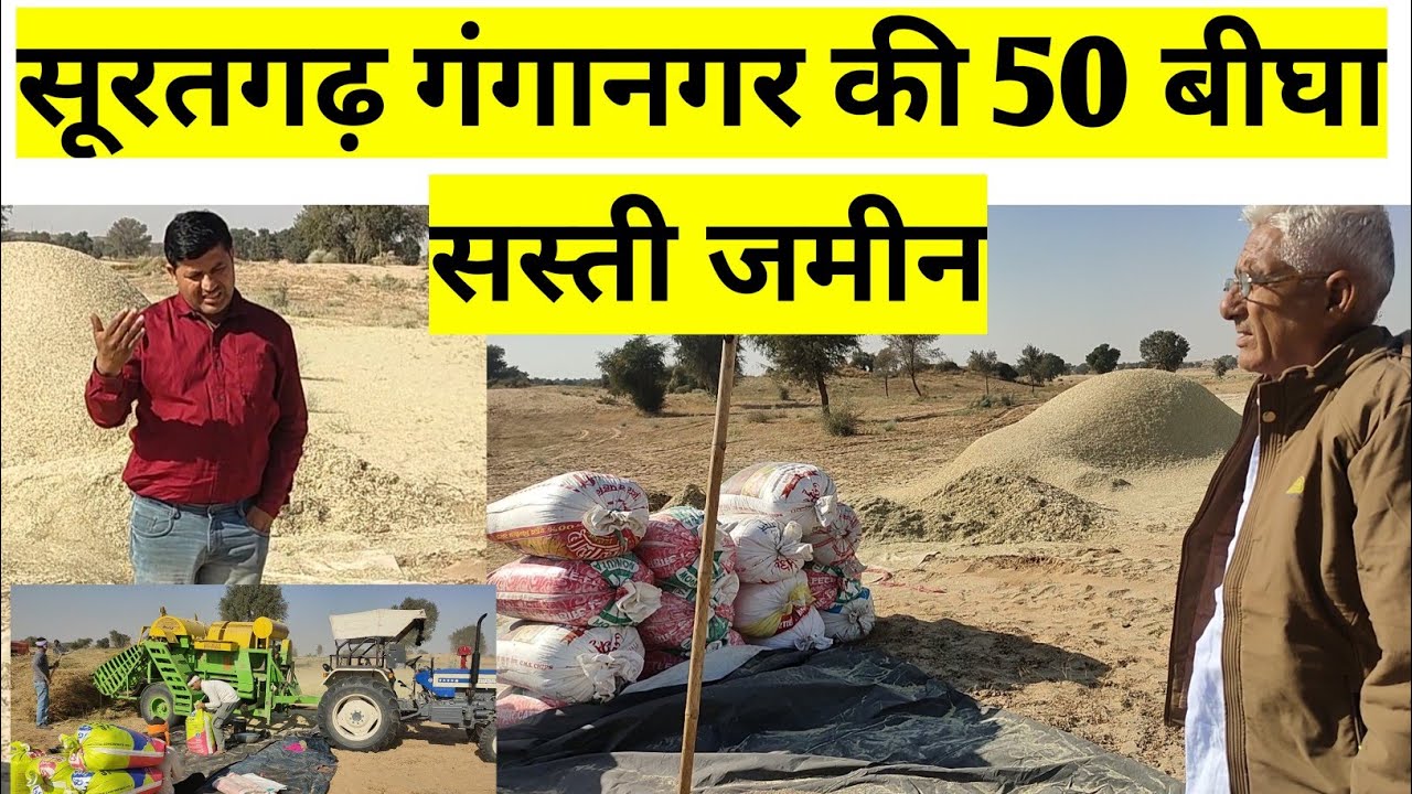 सूरतगढ़ राजस्थान की 50 बीघा बिरानी जमीन बिकाऊ। राजस्थान की ओपन रजिस्ट्री जमीन बिकाऊ। #bikaujameen