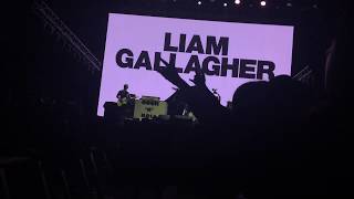 liam gallagher-rock 'n' roll star  live seoul, august 22, 2017