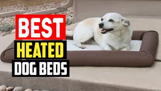 Top 5 Best Heated Dog Beds In 2025