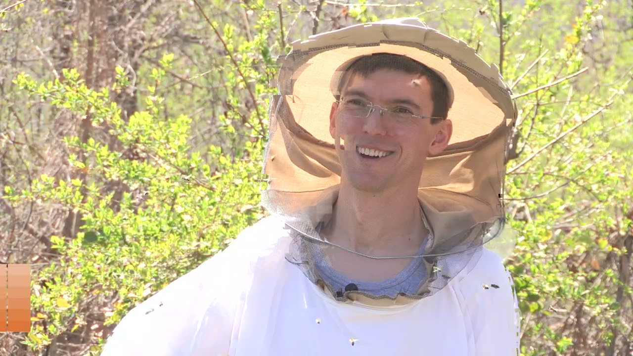 Boja meda ep. 164 27.04.2021. Nozemoza, matica, radilica, trut