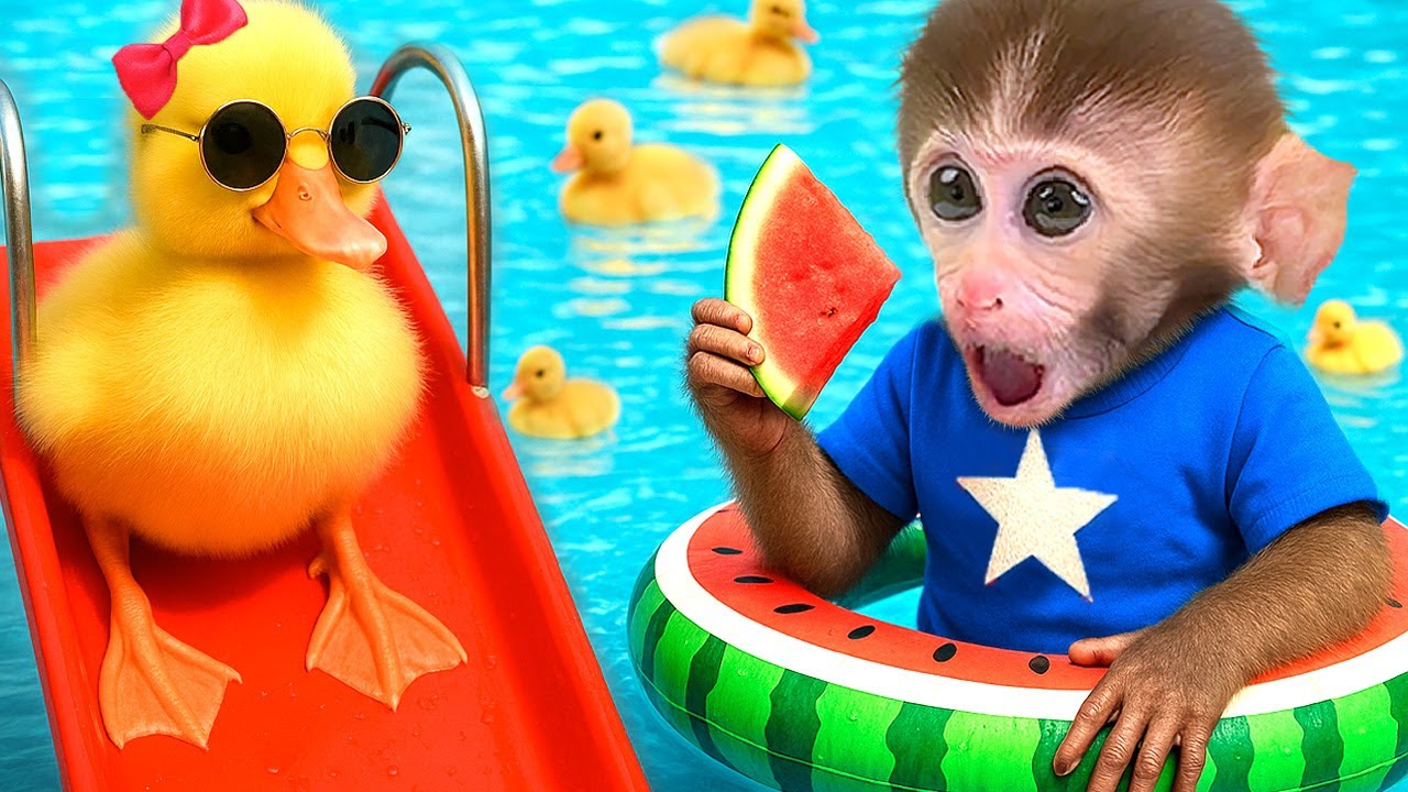 El lindo mono DuDu prepara jugo de frutas arcoíris con un adorable patito y hace palomitas de maíz