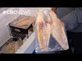 Can T Find Haddock To Buy Here S Why 
