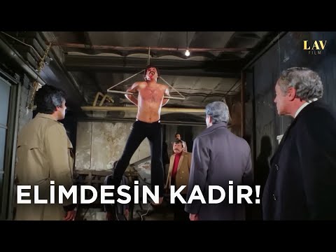 Sonunda Elime Düştün Kadir - Gecenin Sonu