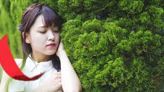 クアイフ - Polaris