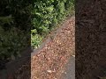阿久比を少しだけ散歩｜Walking in Agui Japan
