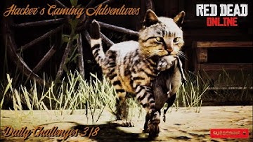 Red Dead Online Daily Challenges & Madam Nazars Location 3/8 - Rdr2 Online Daily Challenges