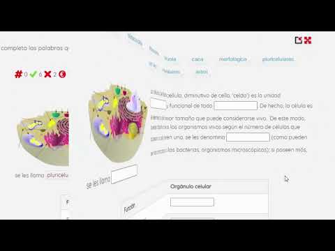 iDevice Completar