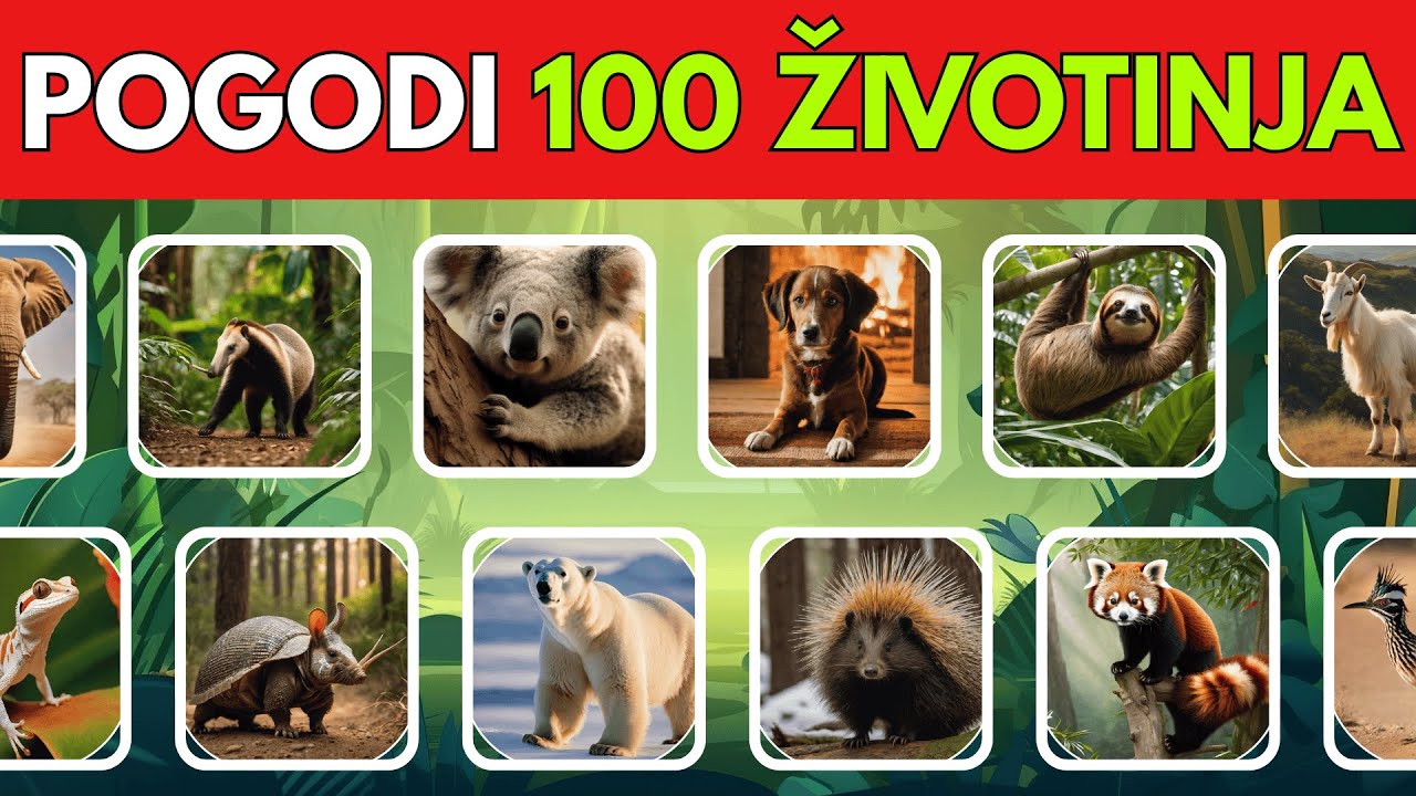 🐾 Pogađanje 100 Životinja! 🦁🐬