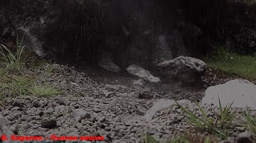 Thumbnail of В. Королев – Пьяная вишня