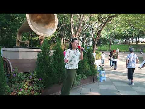 吳英音《跟著感覺走》屯門公園歡樂聚