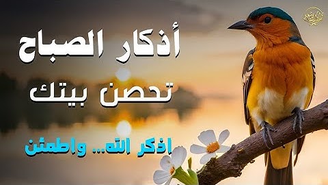 أذكار الصباح بصوت هادئ يريح القلب ويملأه بالسكينة والطمأنينة | بداية يومك بنور الذكر