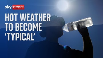 UK's 2022 weather - which saw 40C temperature record - to become 'typical'