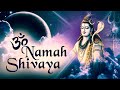 Krishna Das 💢 OM NAMA SHIVAYA ❤ Кришна Дас 💢 Ом Нама Шивая