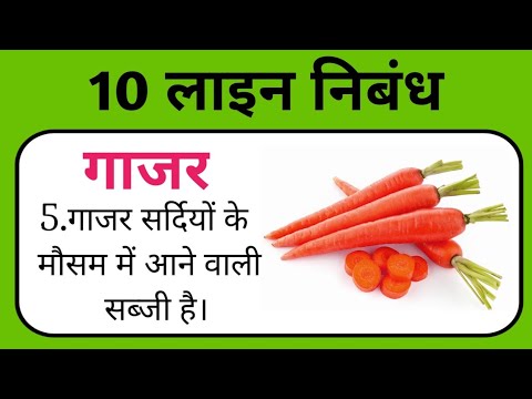 essay on carrot in hindi language