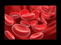 9 показателей крови, которые покажут все болезни!