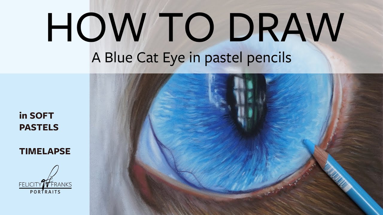 How to draw a Blue Cat Eye in just Stabilo Carbothello Pastel Pencils timelapse