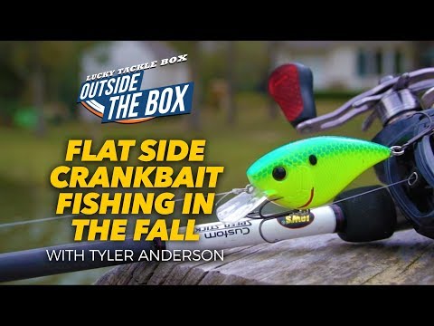 Crankbait Fishing In The Fall – Best Video