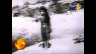 Video thumbnail of "Phur Kina Udigala Bani - Akshaya Mohanty*"