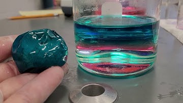 Osmosis Egg Lab part 4