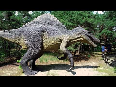 Park Dinozaurów Jura Park w Solcu Kujawskim z lotu ptaka 4K