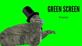 How to do the green screen effect in chipchamp