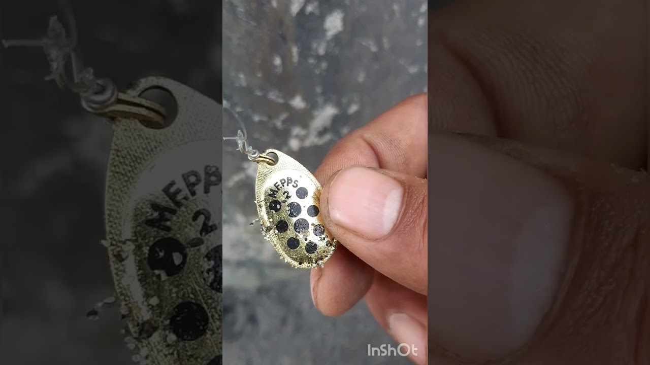 Gilgit River Trout Fishing 2023