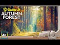 Amazing Window View to the Fall Foliage - 4K Sunny Autumn Day in the Forest - #1