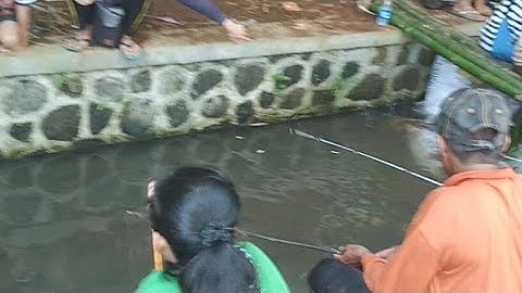 Live Streaming Lomba Mancing Ikan Lele