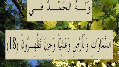 القران الكريم سورة الروم الأية 18.wmv