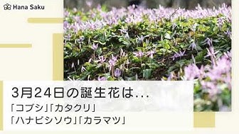 3月24日 Youtube
