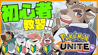 【ポケモンユナイト】ここまでは宿題って言いましたよね？【Evolution's / ダン坊】
