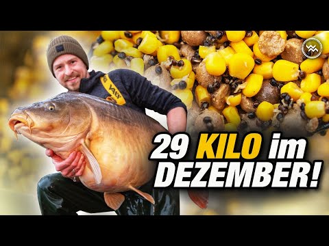 Carp fishing in winter 🌽 for monster fish with canned corn