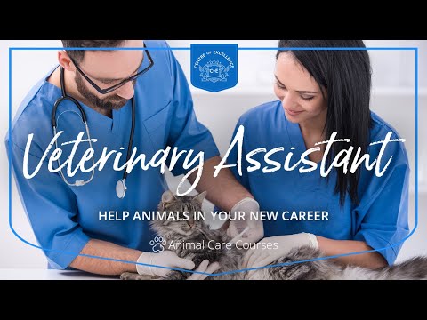 Veterinary Assistant Diploma Course | Centre of Excellence | Transformative Education & eLearning