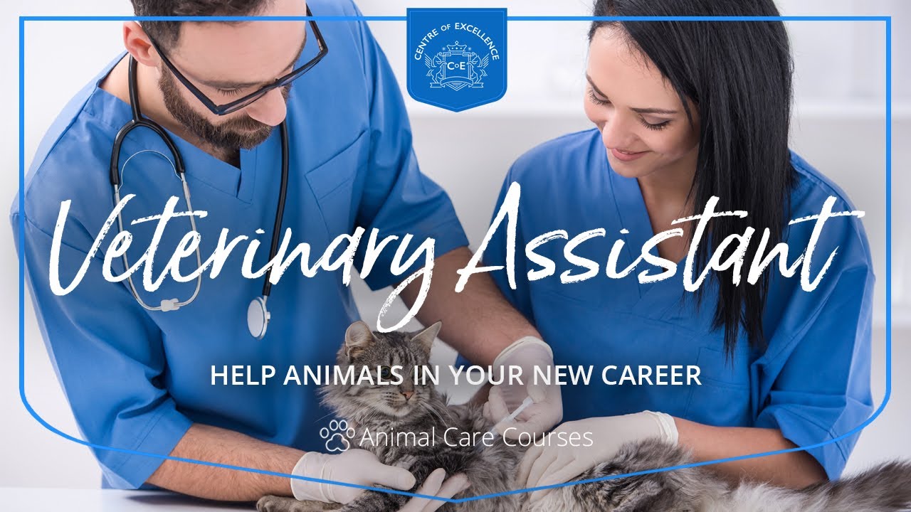 Veterinary Assistant Diploma Course | Centre of Excellence | Transformative  Education & eLearning - YouTube