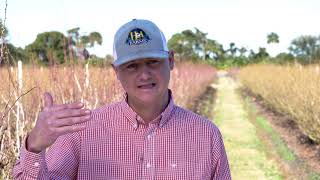 Ffva Annual Report 2021