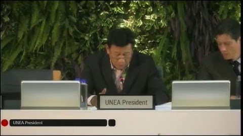 Day 2. A UNEA-3: Plenary (National Statements) - Floor Language