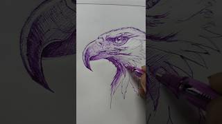 Eagle Drawing With Ball Pen 🦅 | Realistic Pen Art | Ink Sketch #shorts #art #penart #artshorts