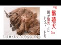 【保護犬預かりvlog】脚が壊死した繁殖犬のトイプードル『その痛み、あなたに想像出来ますか?』