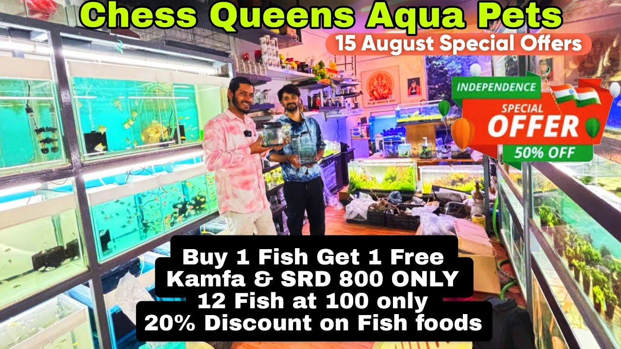 12 Fish at 100 , Buy1 Fish1 Free | F2 Kamfa & SRD 800 only | Chess