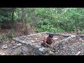 Primitive Life: Build a new house from stone!P1