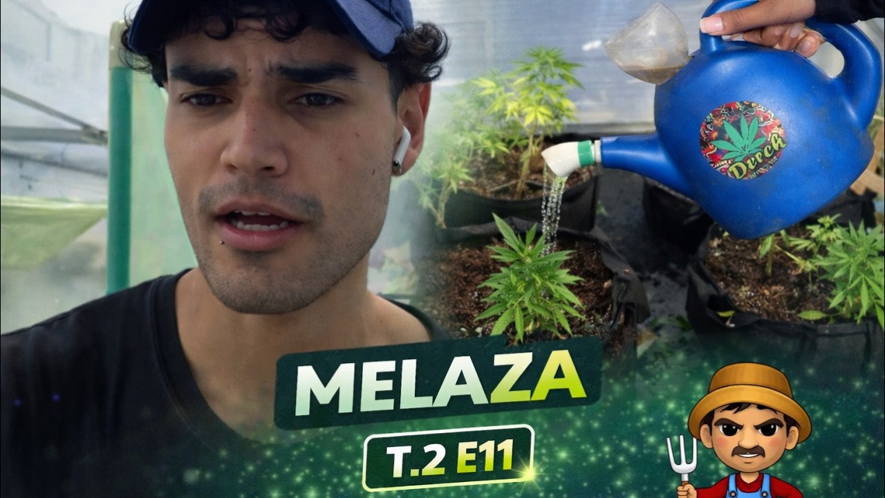 REGANDO CON MELAZA // T2 E11  -  Derek Farming