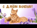 С днем кошек и котов. Красивое поздравление с днем кошек. Видео открытка