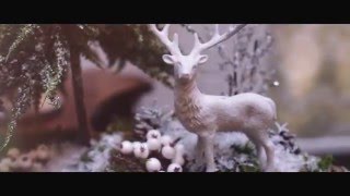 Continental Hotel, Boutique Hotel, Prestige Hotel Budapest Christmas Video