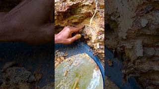 Tak disangka sangka,. Menemukan harta Karun emas sungai tersembunyi | gold mining #goldrush #viral